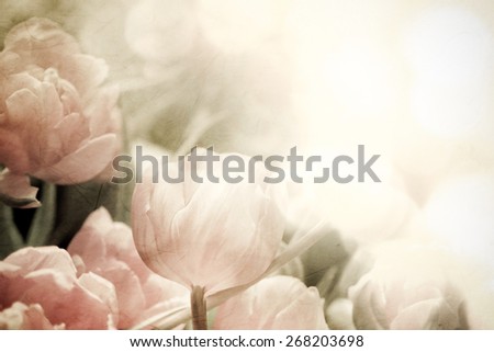 sweet color Tulips in soft and blur style on mulberry paper texture