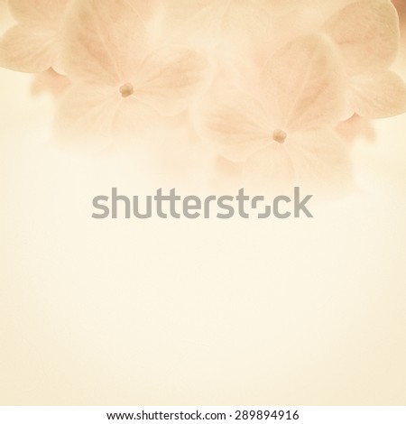 sweet flowers in soft and blur style on mulberry paper texture for background