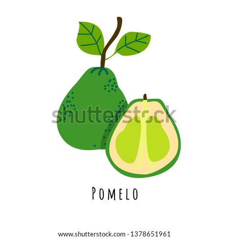 Pomelo fruit flat vector illustration. Cartoon slices of fresh tropical fruit. Isolated icon with shadow. Citrus creative clipart with typography for healthy cooking menu, logo, design element