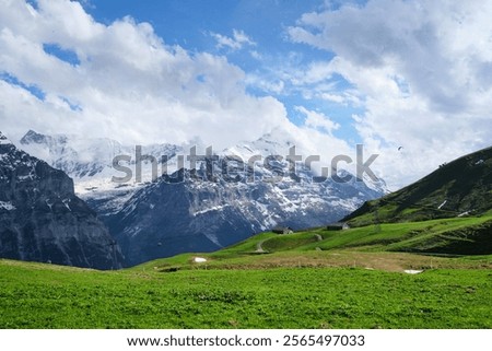 Similar – Foto Bild Streifzug Natur Himmel