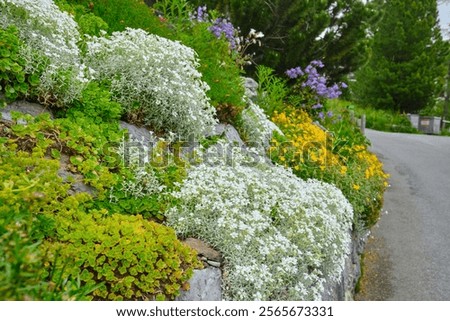 Similar – Foto Bild Blumenbeet mit verschiedenen Blumen im Park