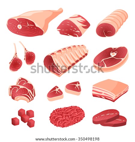 Set of cartoon food: meat cuts assortment - beef, pork, lamb, round steak, boneless rump, whole leg, rib roast, loin and rib chops, rustic belly, ground meat, meat cubes for stew. Isolated on white.