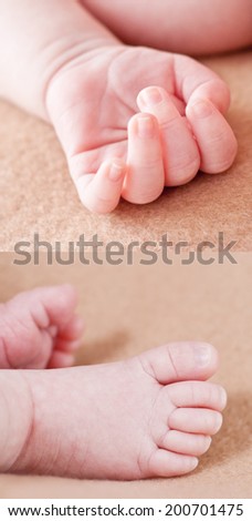 hands and feet of a newborn baby on a beige background