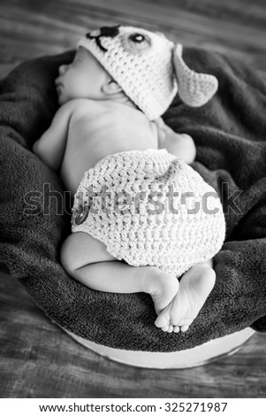 cute newborn baby sleeps in a knitted hat dogs focus on legs  ( black and white )