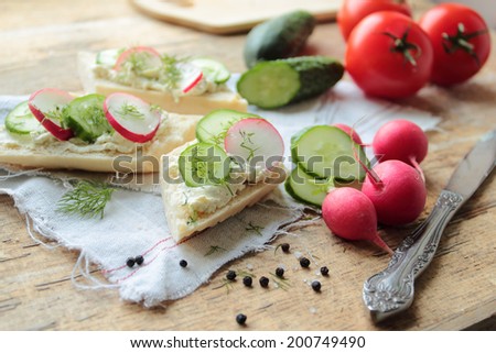 Sandwich with cheese, radish, cucumber and fresh fennel