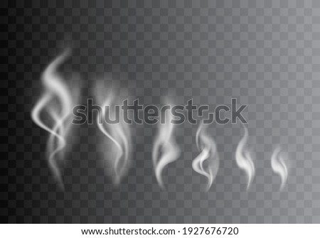 Realistic Detailed 3d Images Smoke Vapor Texture Set on Background Smoking Elements Big and Small. illustration of Fog Motion Effect 商業照片 © 