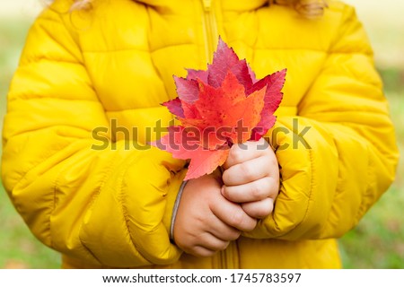 Similar – Image, Stock Photo Hand holding an autumn leaf