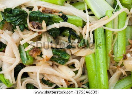 Chinese-style stir fried noodles, without meat.