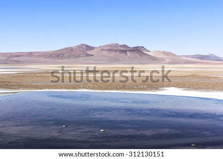Lagoons of Atacama Desert, Chile. The Atacama Desert is a plateau in South America, covering a 1,000-kilometre (600 mi) strip of land on the Pacific coast, west of the Andes mountains.