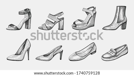 Hand-drawn set of women shoes. Block Heels, Ankle Booties on medium heel, Ballerina flats, Pumps, stiletto, Open Toe Sandals, Slingback medium heel, Wedge Sandals, Loafers, slippers, moccasins.