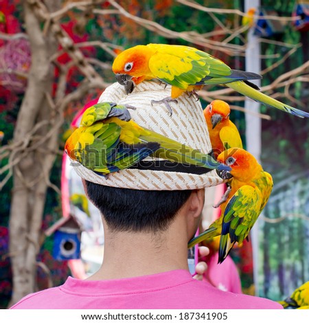 A man with a lot of birds on the head