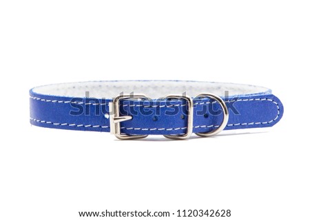 Cat and dog collar isolated on white Stock foto © 