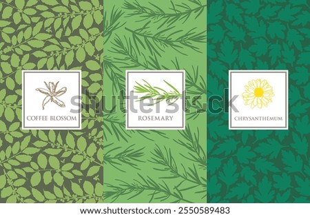 Similar – Image, Stock Photo Set of peas placed orderly on salmon colored background