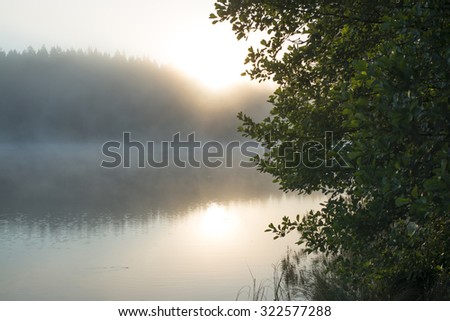Mist hovering on a lake in the morning in Isojarvi national park in Finland. Sun is starting to shine.