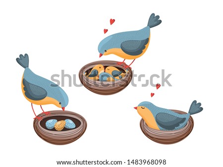 Set, the bird with a nest and three eggs in it, the bird with a nest and three cute chicken in it and the bird sitting on the nest on white. Vector background.