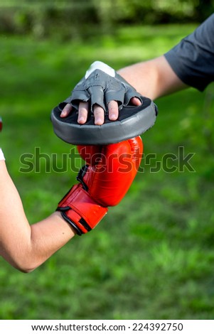Hands in boxing gloves on the green background