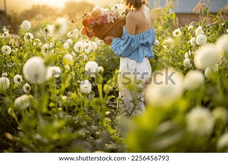 Similar – Image, Stock Photo Crop woman planting flowers in pot at table