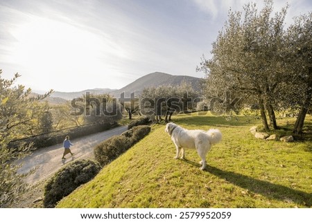 Similar – Image, Stock Photo Woman walking on grassy shore