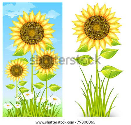 big flower yellow sunflowers and grass on blue background, vector illustration