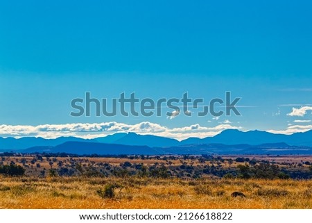 Late afternoon landscape of veld and mountains in Mountain Zebra National Park, Eastern Cape Foto stock © 