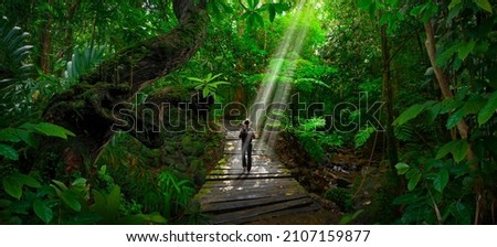 Similar – Image, Stock Photo Path through forest with green grass alongside