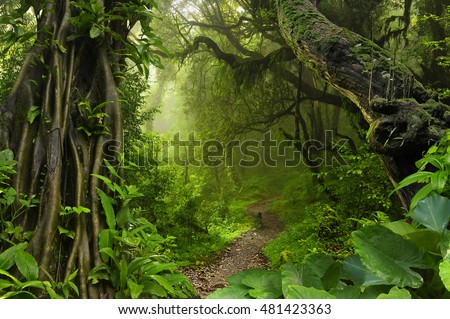 Asian Tropical
