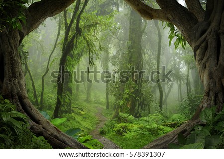 Deep Tropical