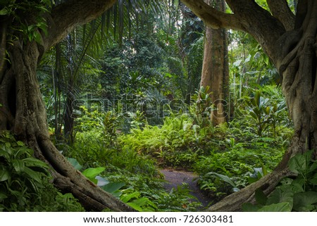 Asian Jungle