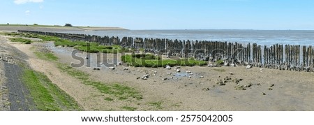 Similar – Image, Stock Photo The Wadden Sea World Heritage Site with asphalted dike on the coast of the North Sea in Norddeich near Norden in East Frisia in Lower Saxony