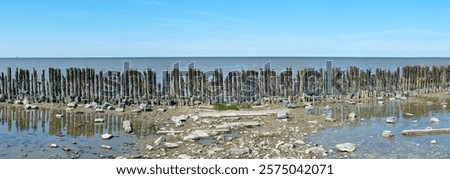 Similar – Image, Stock Photo The Wadden Sea World Heritage Site with coastal protection on the coast of the North Sea at the harbor of Norden near Norddeich in East Frisia in Lower Saxony, photographed in classic black and white