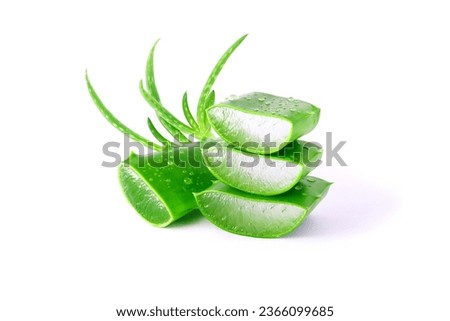 Similar – Image, Stock Photo Aloe Vera Plant Nature