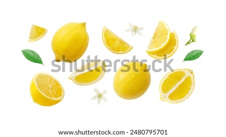 Similar – Image, Stock Photo Fresh lemon sliced in half on ice cubes. Citrus fruits