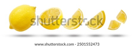 Similar – Image, Stock Photo Citrus ingredients for fresh iced coktail with mint