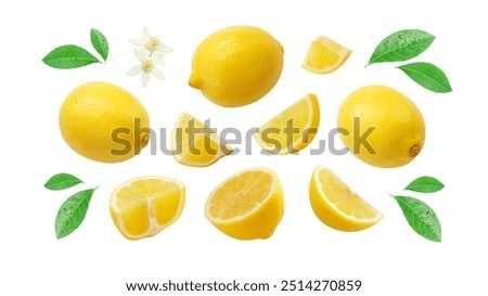 Similar – Image, Stock Photo lemon Lemon Lemon yellow