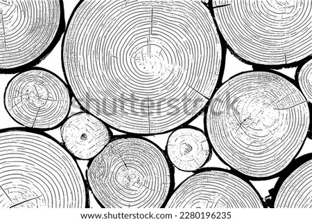 Log cut, tree rings pattern, shades of gray