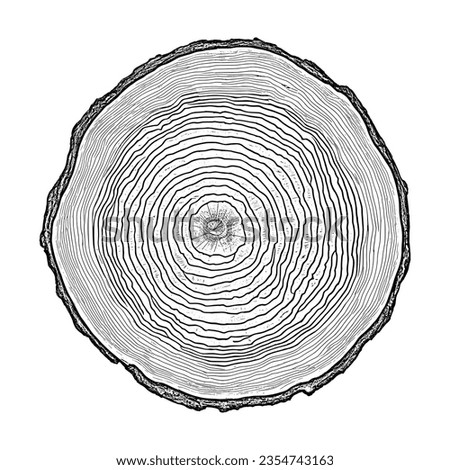 Log cut, vector illustration. Tree rings pattern, shades of gray.