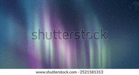 Polar lights, aurora borealis, starry sky, northern landscapes, vector illustration