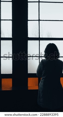 Similar – Image, Stock Photo Tranquil woman with retro lamp in dark room