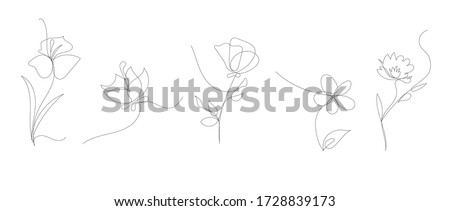 vector single line art flowers set, simple illustration