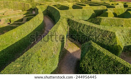 Maze garden in England
