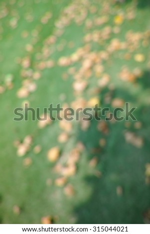 Blur series, defcoused Chinese parasol leaves on grass field