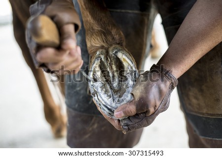 Similar – Image, Stock Photo Blacksmith taking horseshoe from furnace