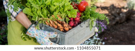 Similar – Image, Stock Photo Fresh bio harvest home garden herbs