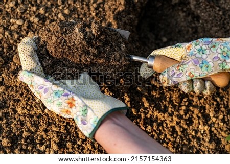 Foto Bild Anonymer Gärtner, der im Garten mit einer Kelle Erde umgräbt