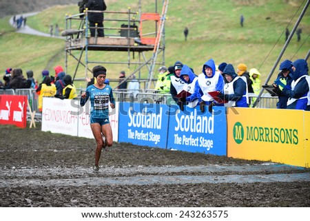 EDINBURGH, SCOTLAND, UK - January 10, 2015 - Trihas Gebre crosses the finish line in third place in the Woman\'s 6k race at the Great Edinburgh Cross Country Run.