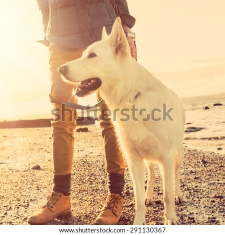 Hipster girl playing with dog at a beach during sunset, strong lens flare effect