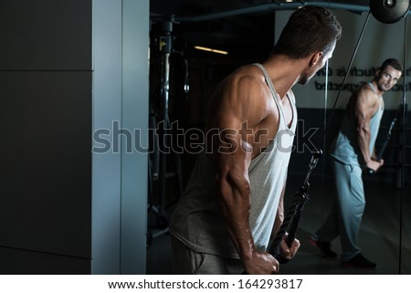 Triceps Exercise. Fit Man On The Triceps Pull down Weight Machine At A Health Club