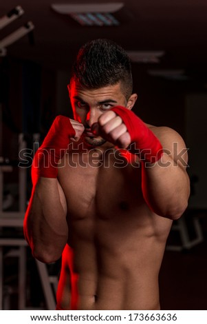 Mixed Martial Arts Fighter Ready To Fight