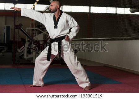 Mature Men Practicing His Karate Moves