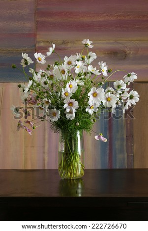 Bunch of white and pink garden cosmos flowers bouquet in vase on dark background